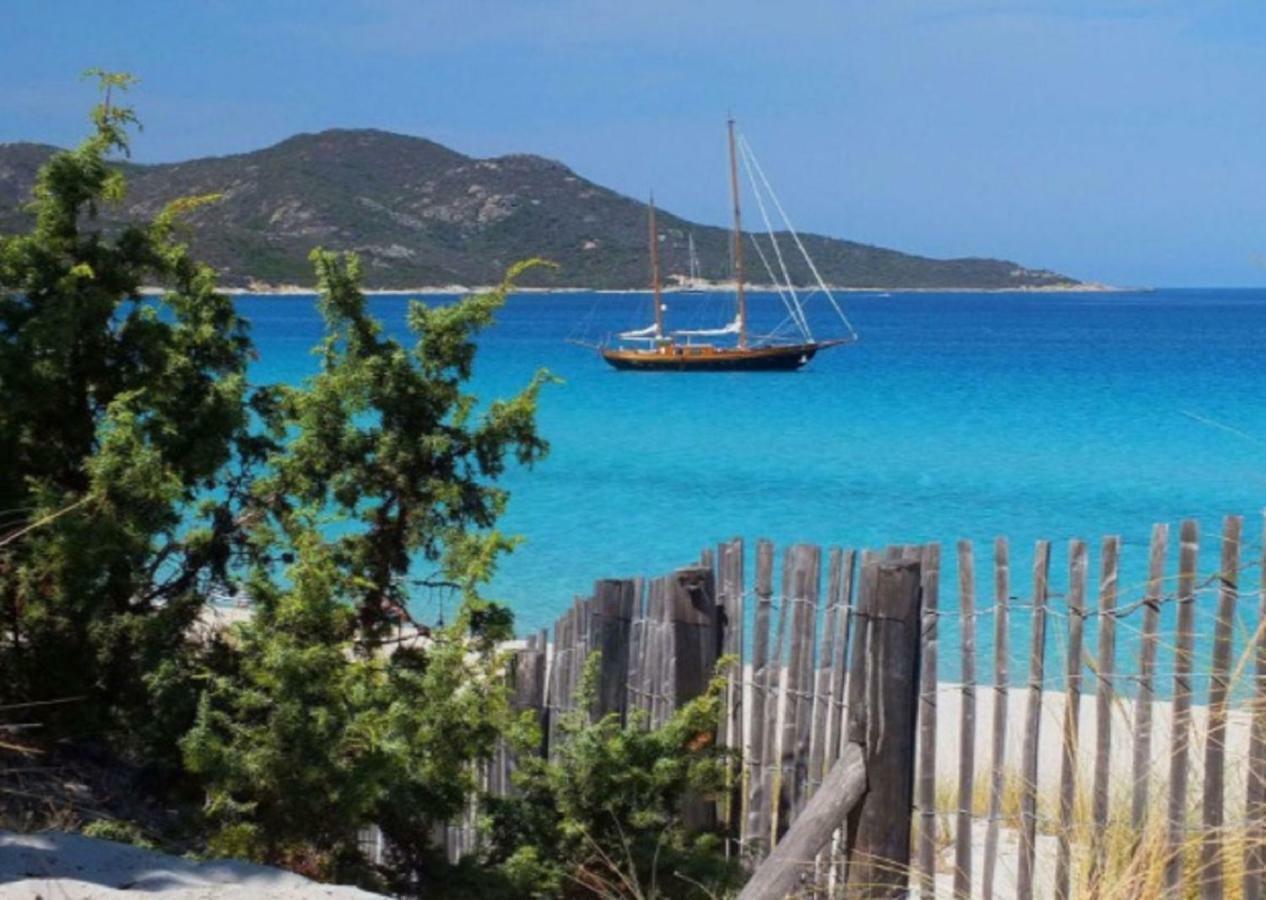 Appartement 2 Terrasses Face Mer De 100M2 Saint-Florent  Eksteriør bilde